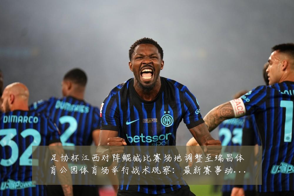足协杯江西对阵鲲城比赛场地调整至瑞昌体育公园体育场举行战术观察:最新赛事动态与深度分析